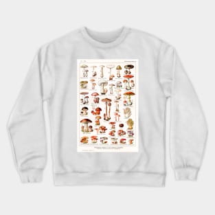 A variety of mushroom species Crewneck Sweatshirt